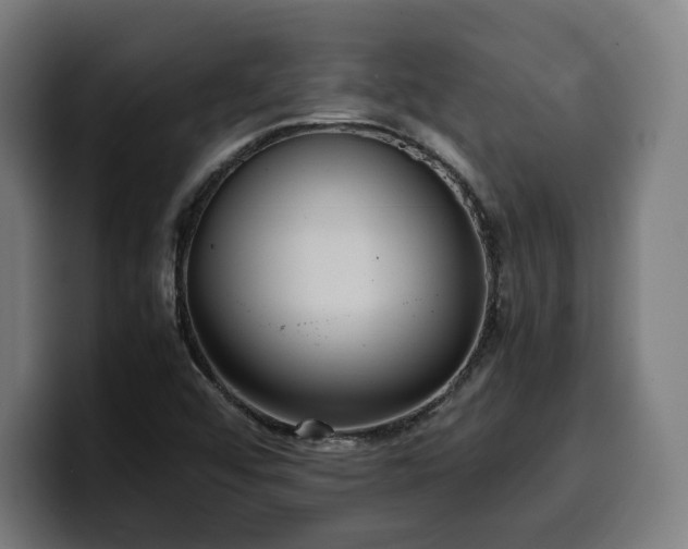 X0000100481456200806131220