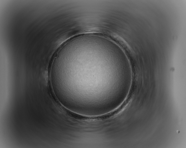 X0000100481457200806131220