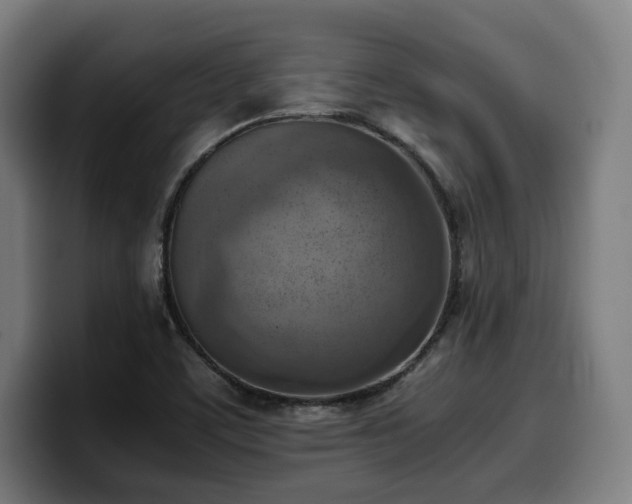 X0000100481459200806131220