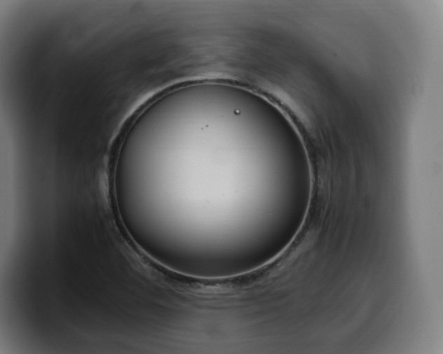 X0000100481460200806131220