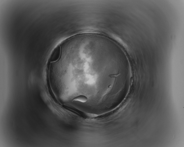 X0000100481463200806131220