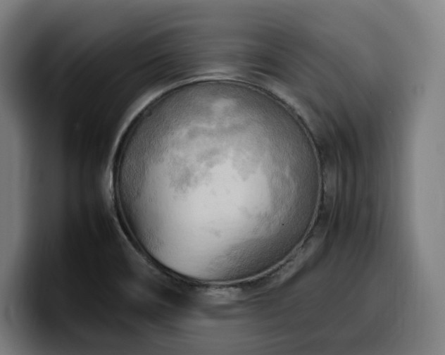 X0000100481466200806131220