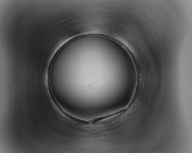 X0000100481468200806131220