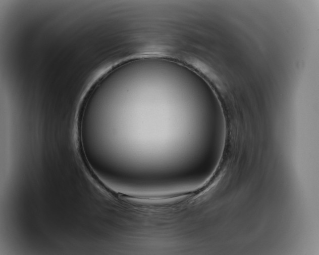 X0000100481469200806131220