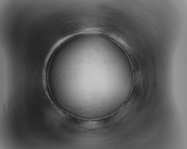 X0000100481470200806131220