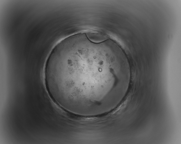 X0000100481471200806131220