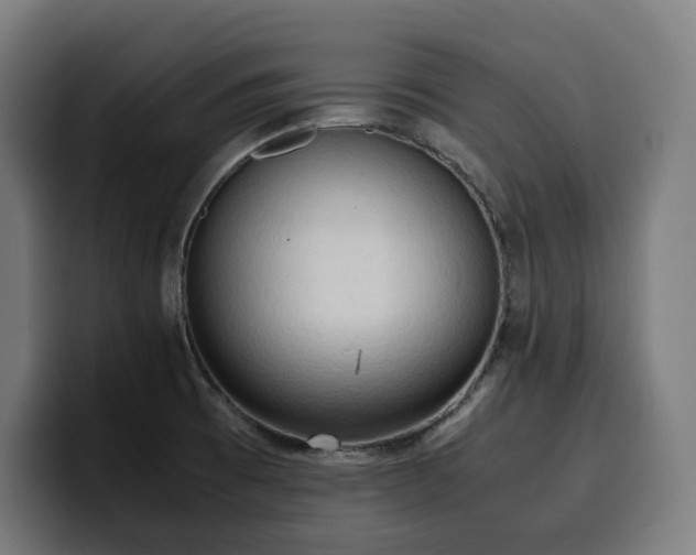 X0000100481473200806131220