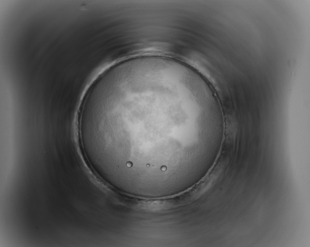 X0000100481474200806131220
