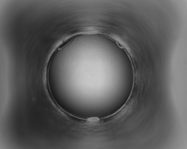 X0000100481477200806131220