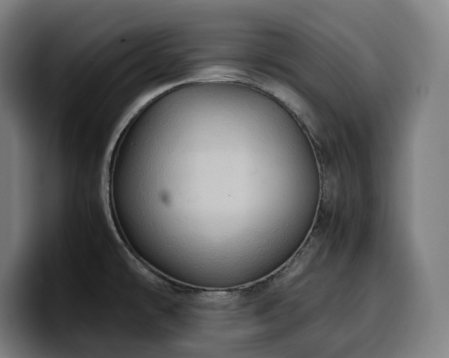 X0000100481478200806131220