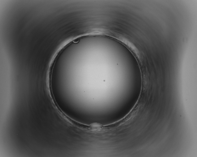 X0000100481480200806131220