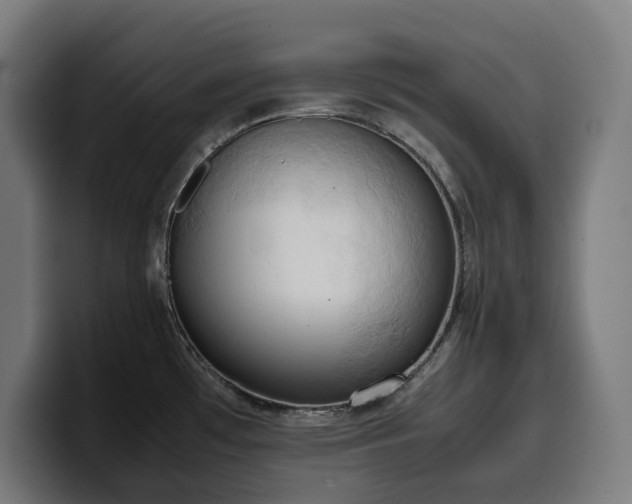 X0000100481481200806131220