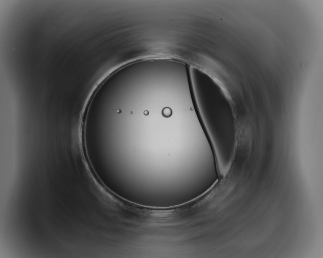 X0000100481484200806131220