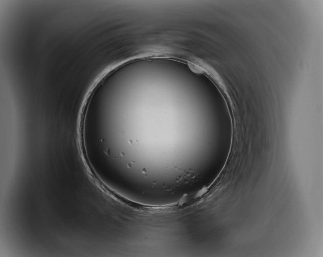 X0000100481488200806131220