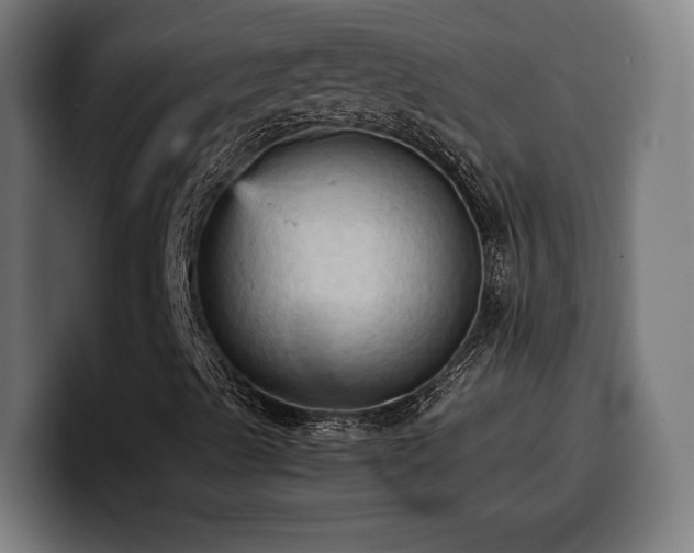 X0000100481489200806131219