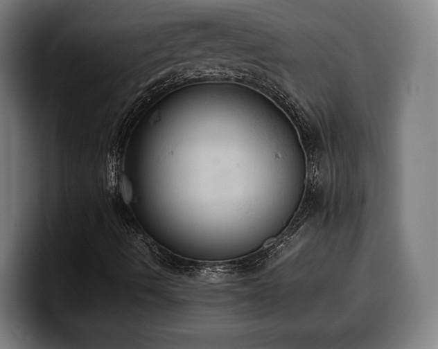 X0000100481490200806131219