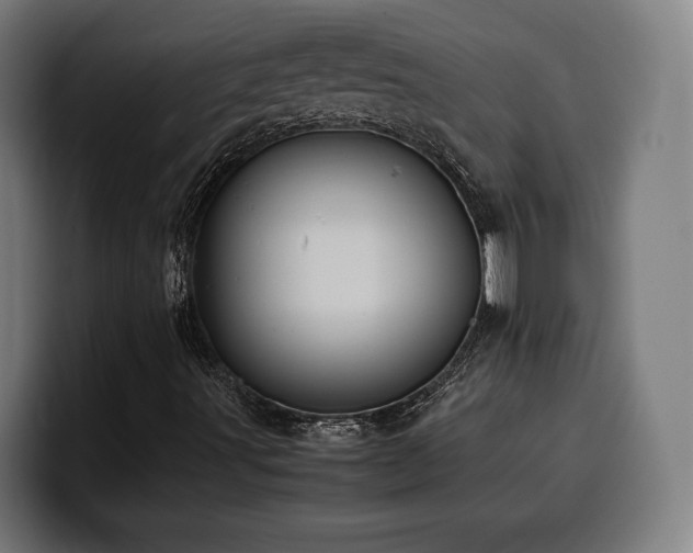 X0000100481491200806131219