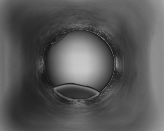 X0000100481492200806131219