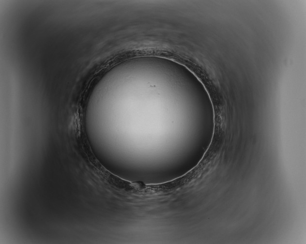 X0000100481493200806131219
