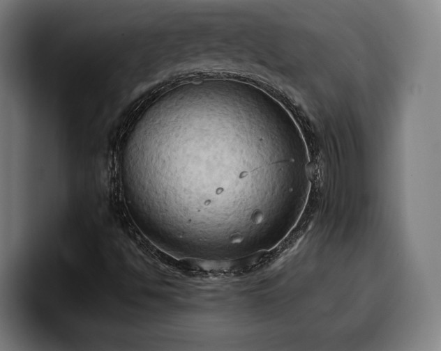 X0000100481494200806131219