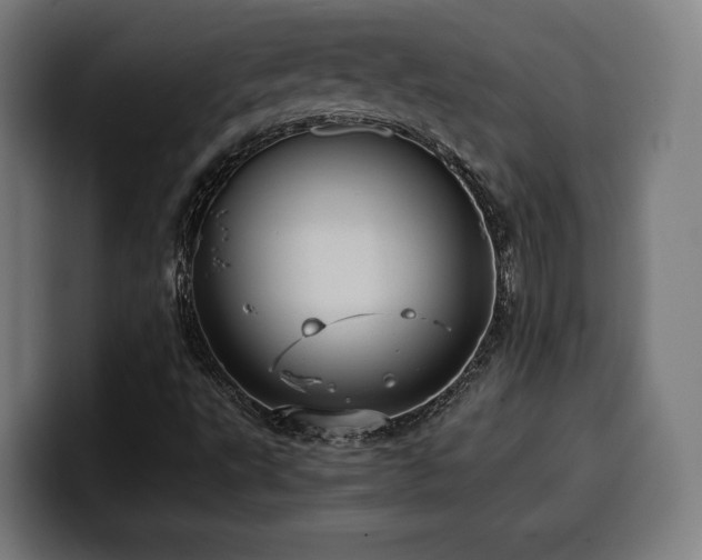X0000100481495200806131219
