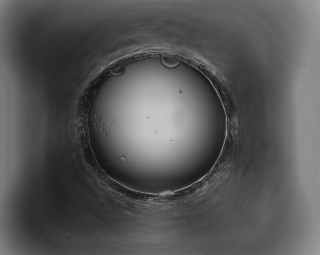 X0000100481496200806131219