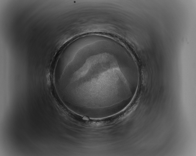 X0000100481497200806131219