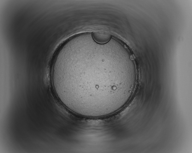 X0000100481498200806131219