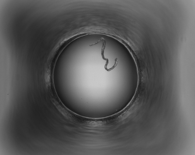 X0000100481499200806131219