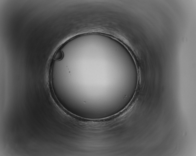 X0000100481500200806131219