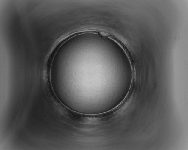 X0000100481501200806131219