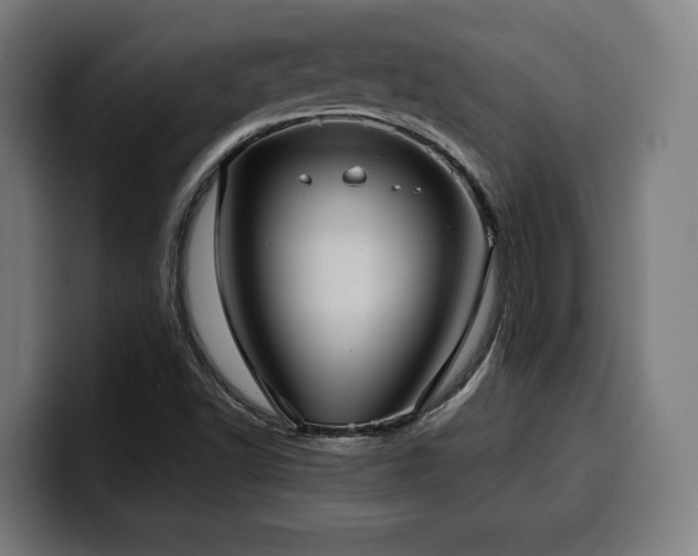 X0000100481502200806131219