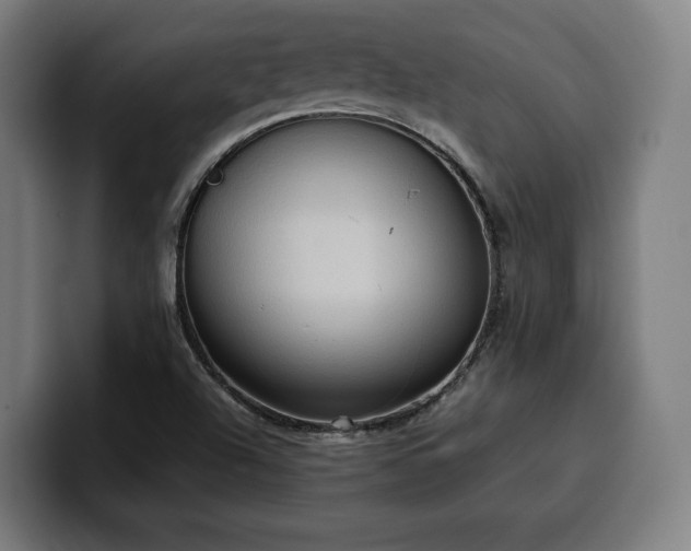 X0000100481504200806131219