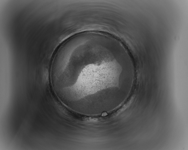 X0000100481505200806131219