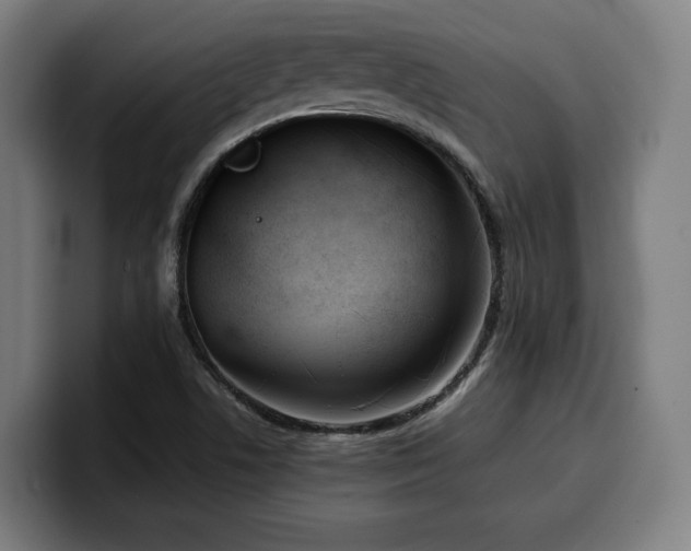 X0000100481506200806131219