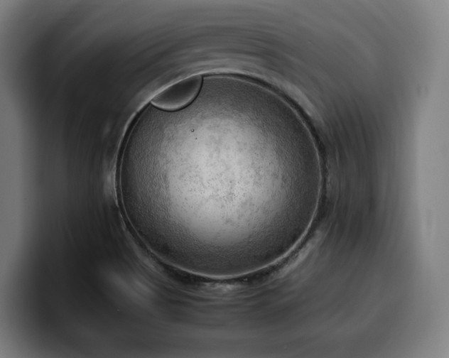 X0000100481513200806131220