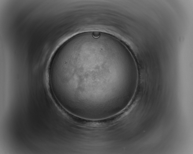 X0000100481517200806131220