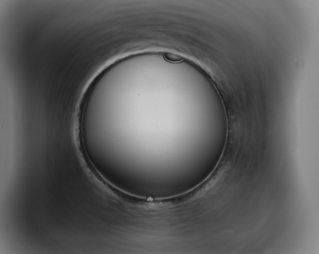 X0000100481518200806131220