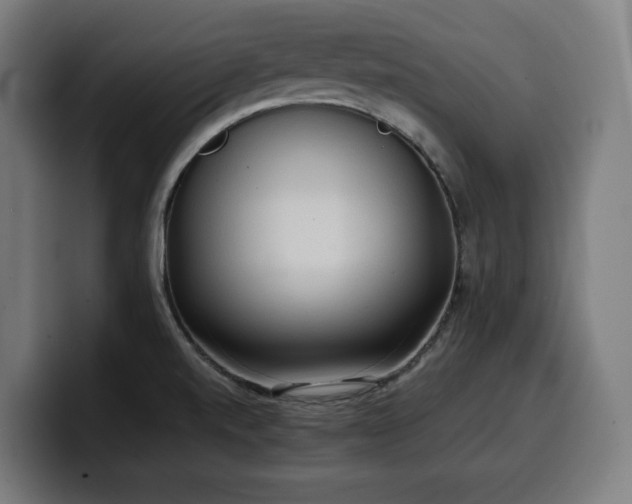 X0000100481520200806131220