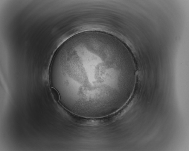 X0000100481521200806131220