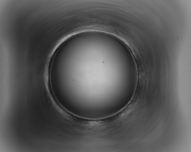 X0000100481523200806131220