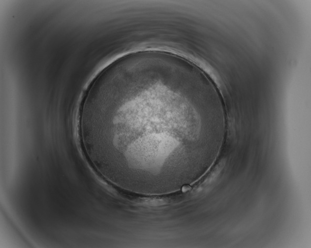 X0000100481525200806131220