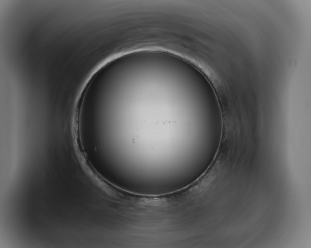 X0000100481526200806131220