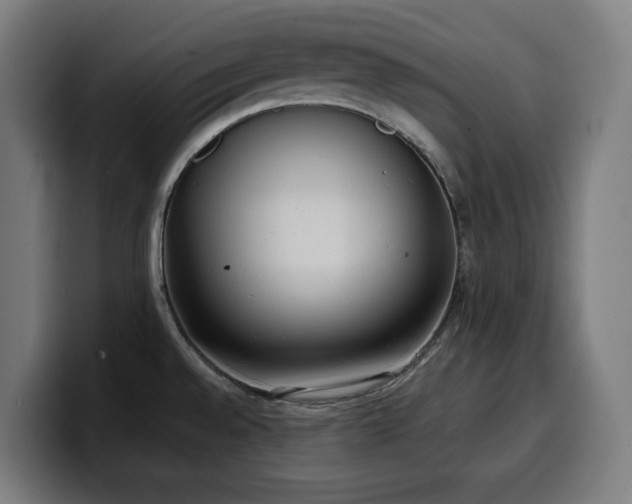X0000100481528200806131220