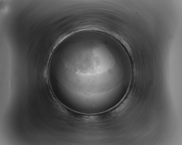 X0000100481529200806131220
