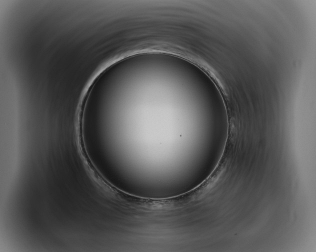 X0000100481530200806131220