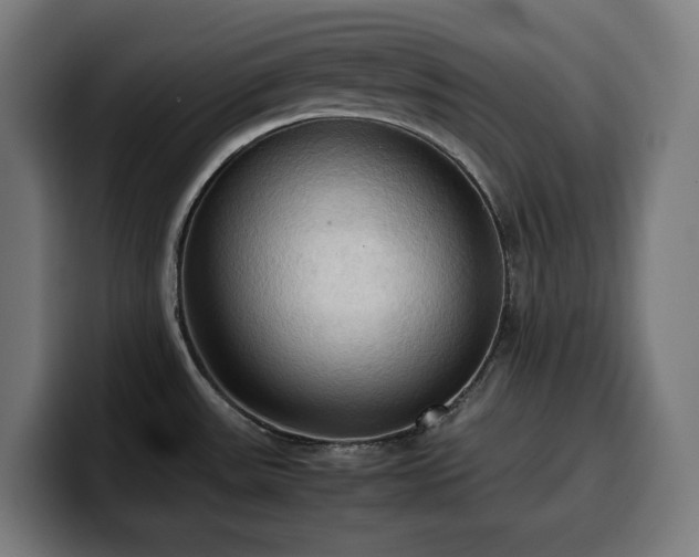 X0000100481531200806131220