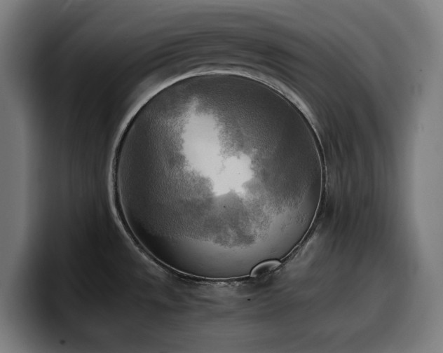 X0000100481533200806131220