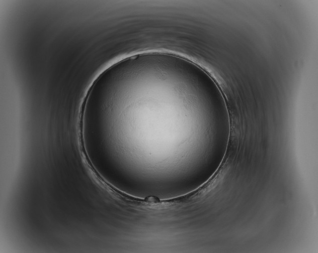 X0000100481534200806131220