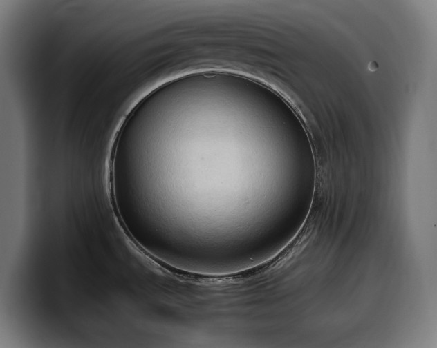 X0000100481535200806131220